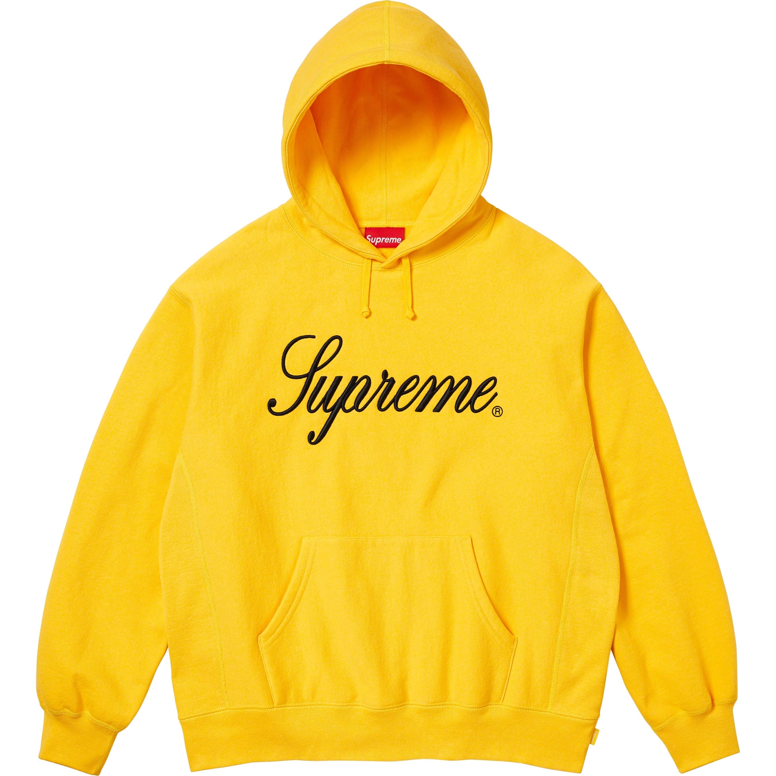 Raised Script Hooded Sweatshirt view 18